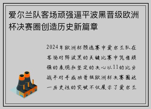 爱尔兰队客场顽强逼平波黑晋级欧洲杯决赛圈创造历史新篇章