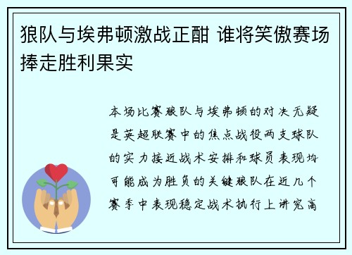 狼队与埃弗顿激战正酣 谁将笑傲赛场捧走胜利果实